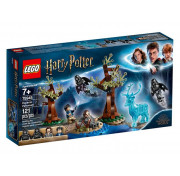 Конструктор LEGO Harry Potter 75945 Экспекто Патронум