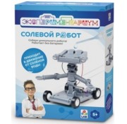 ЭКСПЕРИМЕНТАРИУМ Набор "Солевой робот" Т14041